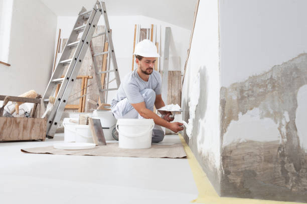 Best Drywall Removal and Disposal  in Duquesne, MO