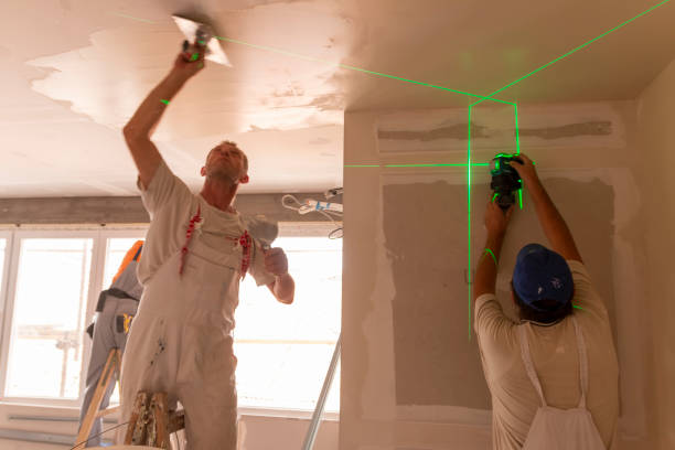 Best Drywall Sanding and Smoothing  in Duquesne, MO